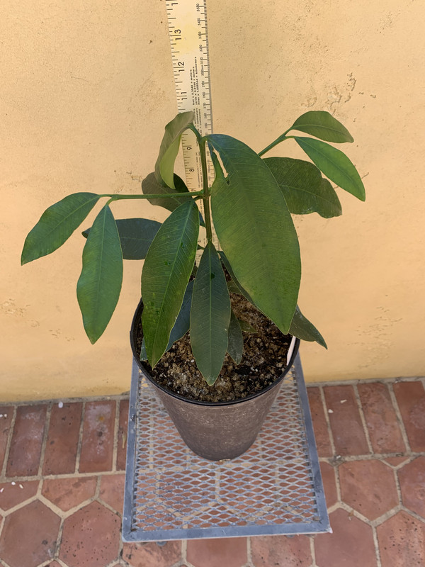 82BDC23E-FF11-4C98-90EF-3A0B1A03D65E