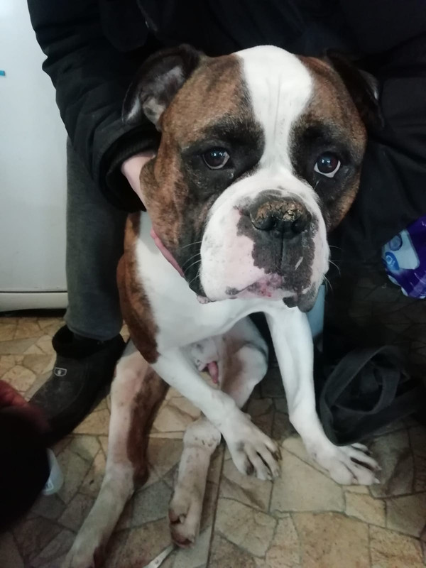 FDDBEEAA-C205-4D46-8B8C-E4910C23F6C9