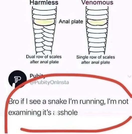 486351340_1076747574492382_2977865080809