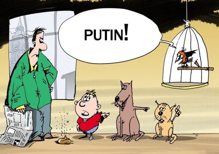 1462982058_22884188_original