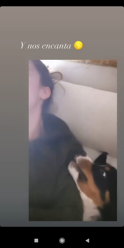 Screenshot_2021-01-02-22-24-51-775_com.instagram.android