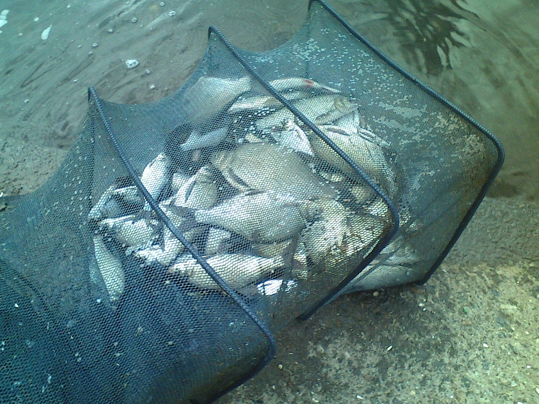 Добрянка 15.09.13 01