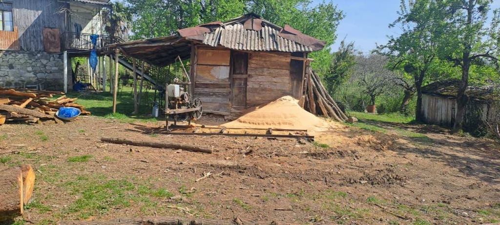 იმერეთში, აჭარასა და სამეგრელოში 7 არარეგისტრირებული სახერხი საამქრო გამოავლინეს