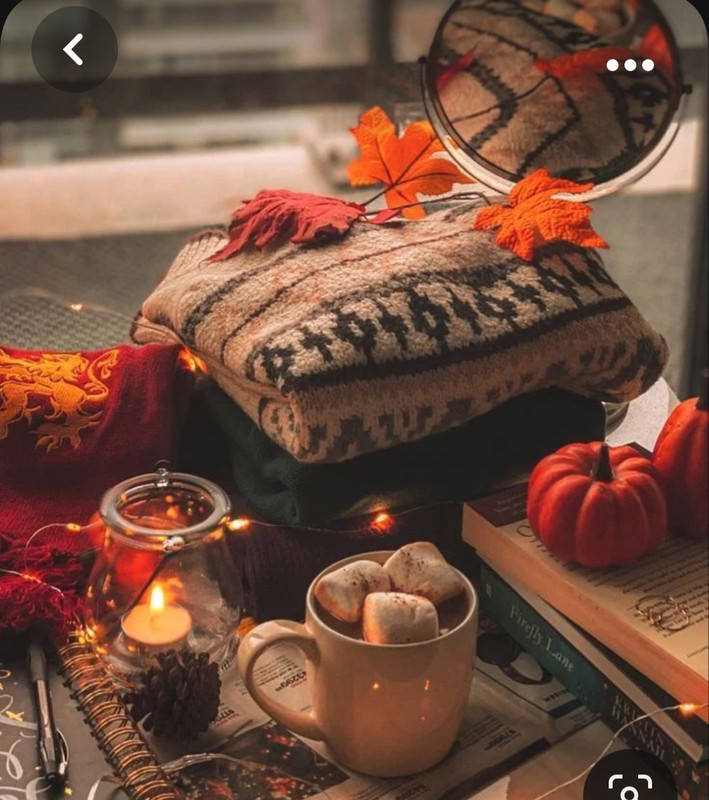 Screenshot_20231008_214047_Pinterest