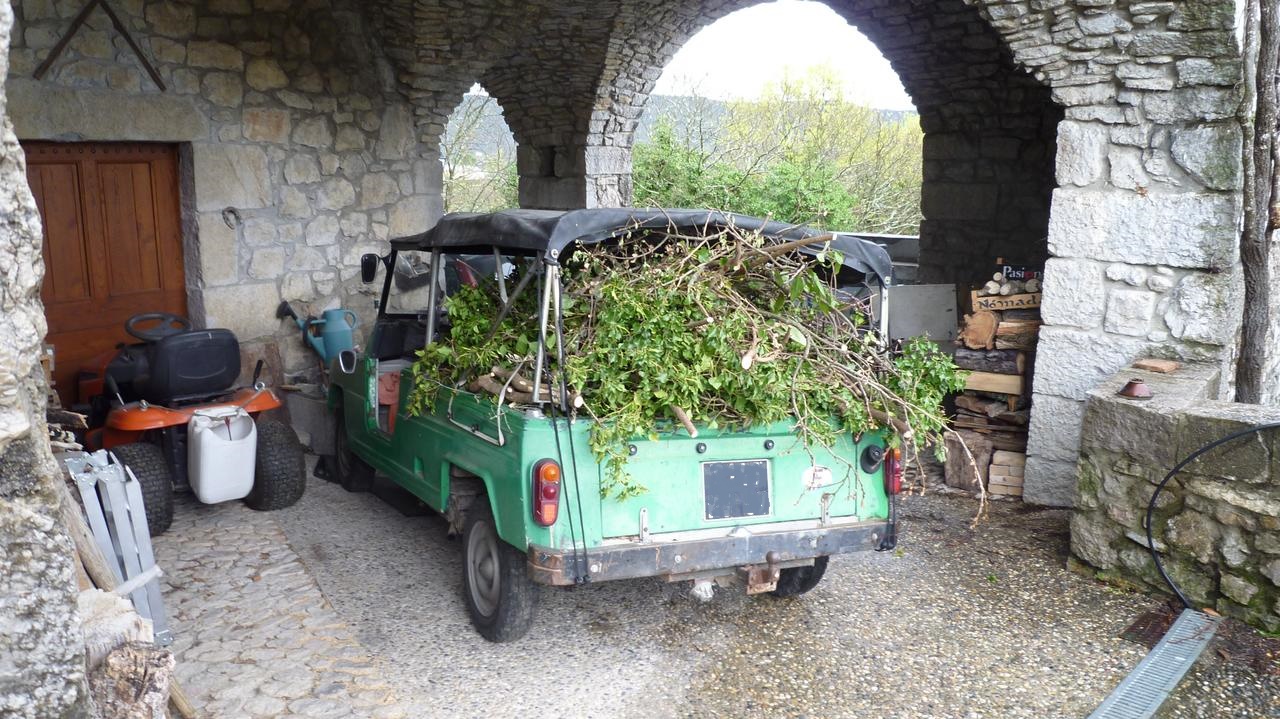 Cloclodile 2 06 04 2019m