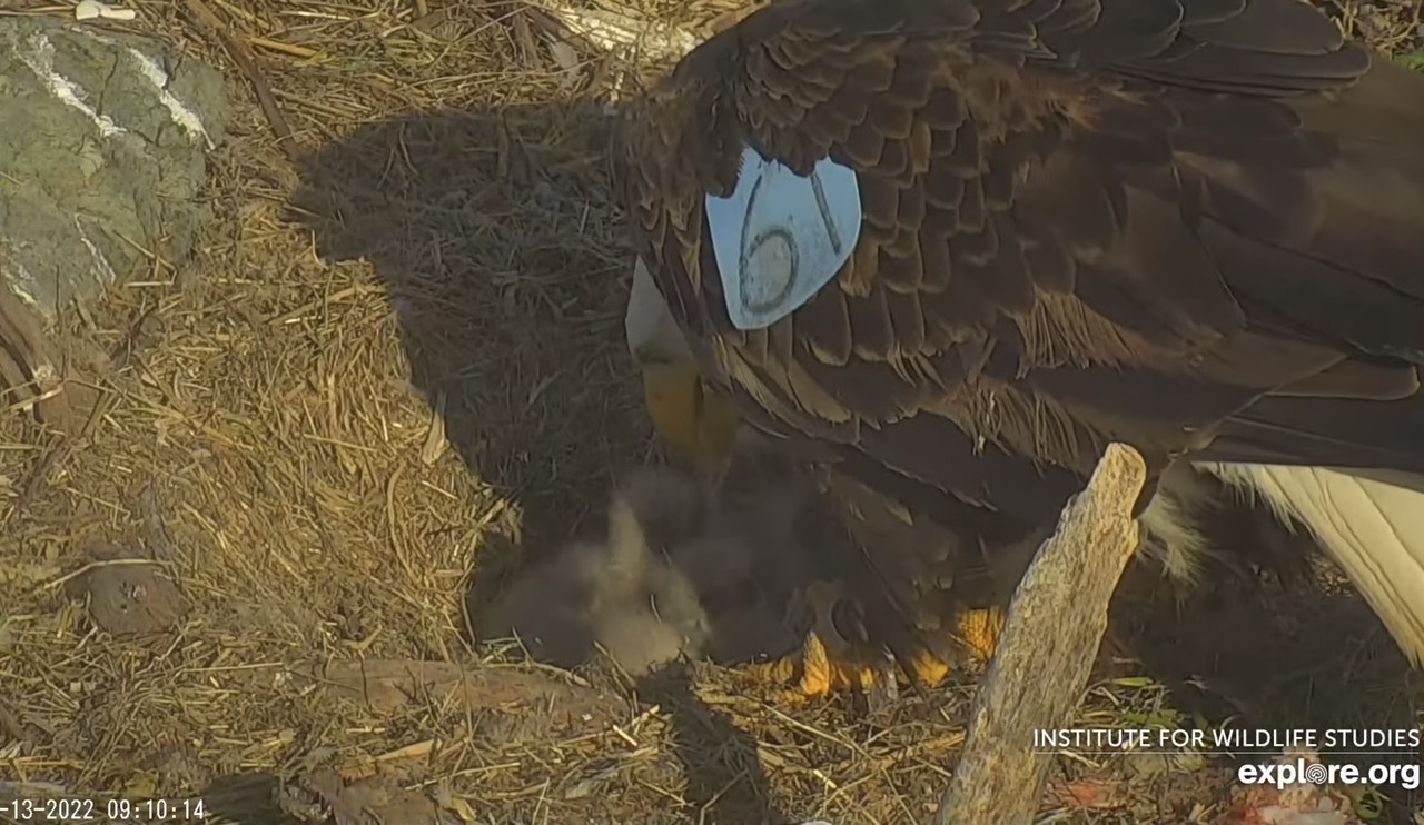 95E376EB-16B2-4D82-8004-6456818813AE