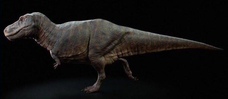 3A84574E-CBC9-46B2-BAAB-2C9B3CDA4F9C