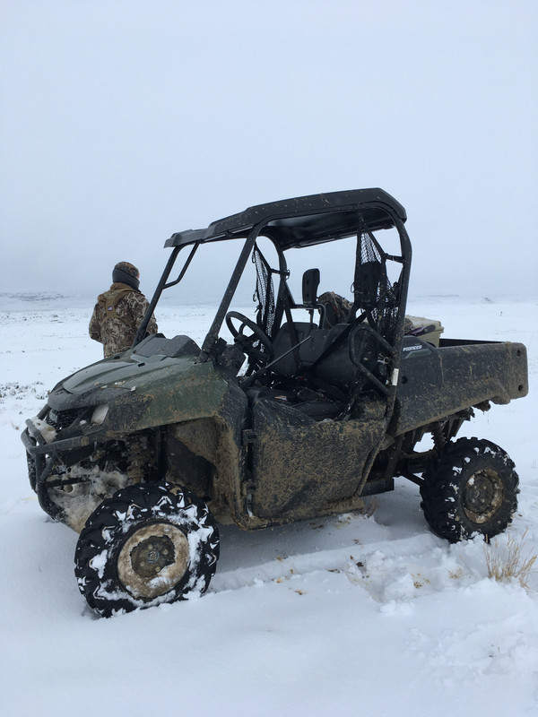 668C7AA6-B67D-4401-9922-1B3134C3C899