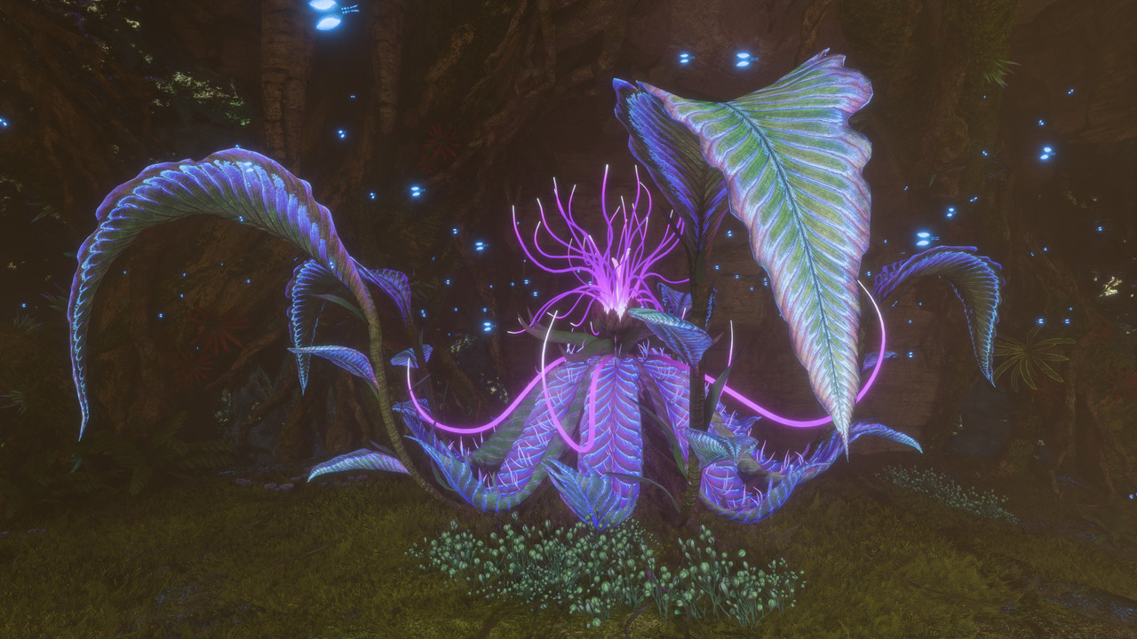 afop 2026 01 08 16 29 11 973