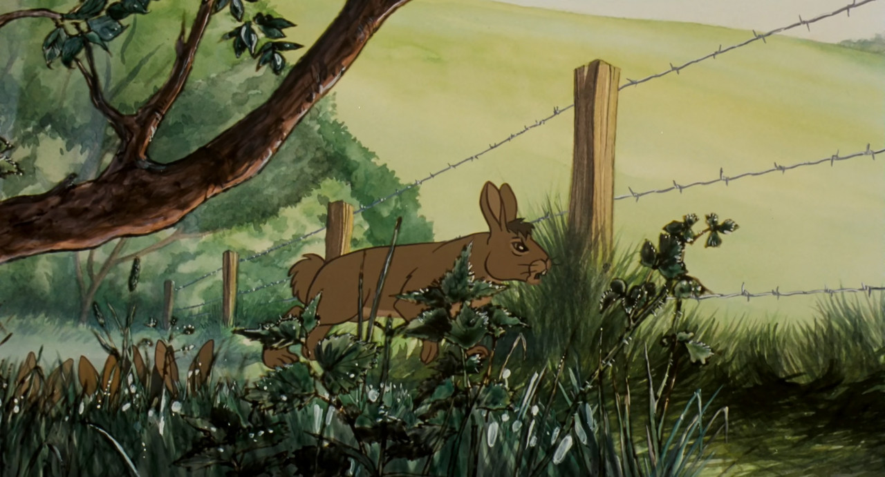 Watership Down (1978) (1080p BluRay x265 LION).mkv_snapshot_00.5