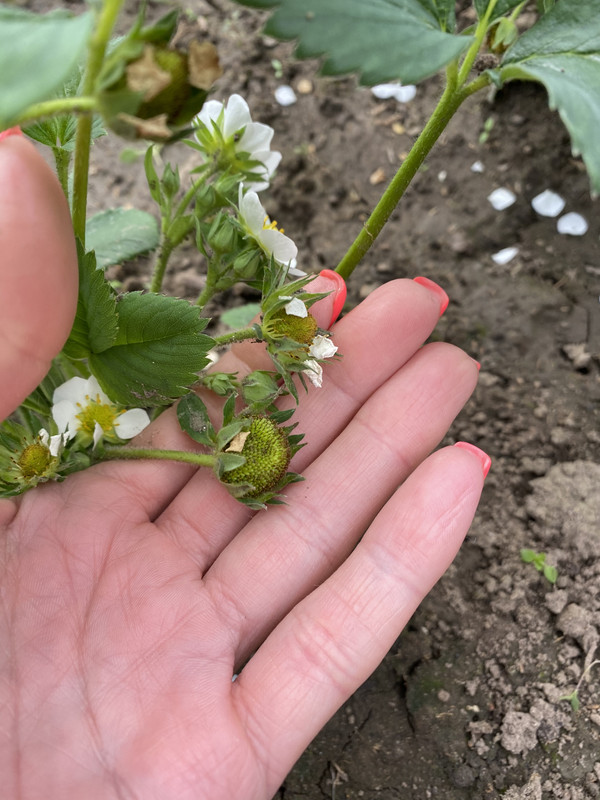 5A505A7C-6105-4C1A-89DB-42F452EFC55C