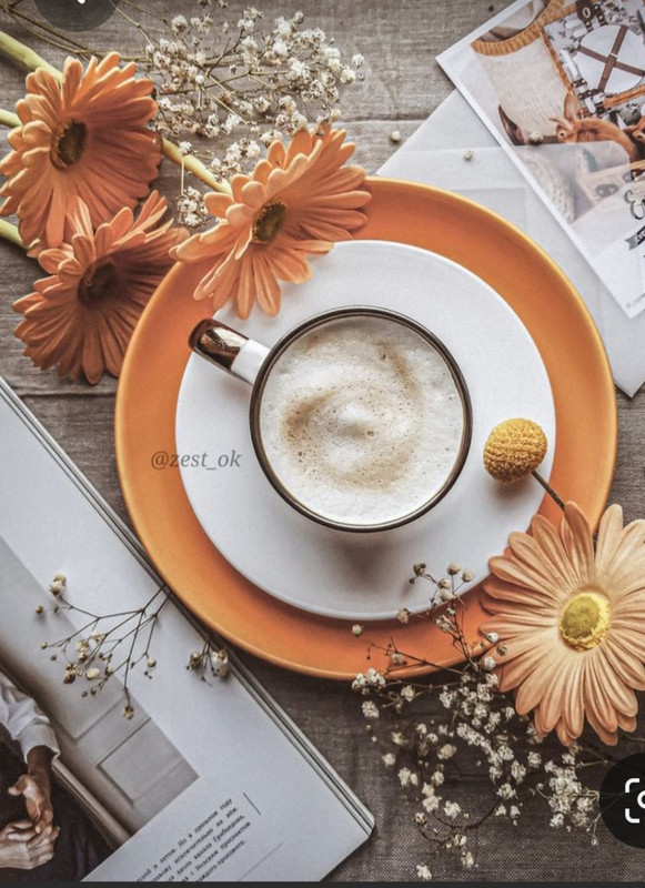 Screenshot_20230315_231353_Pinterest