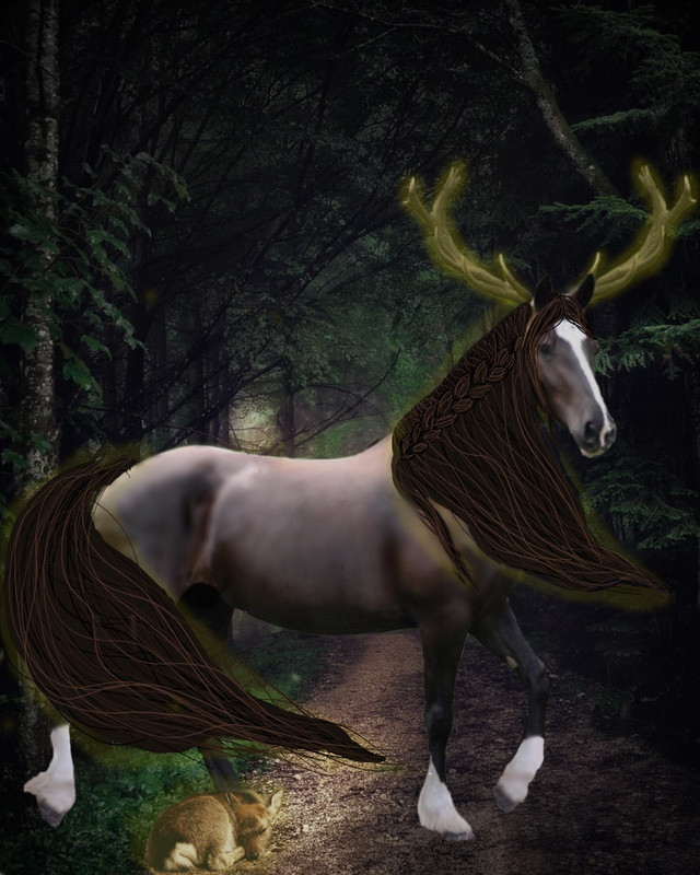 C3231269-047A-45EB-923D-984788EDDE6E