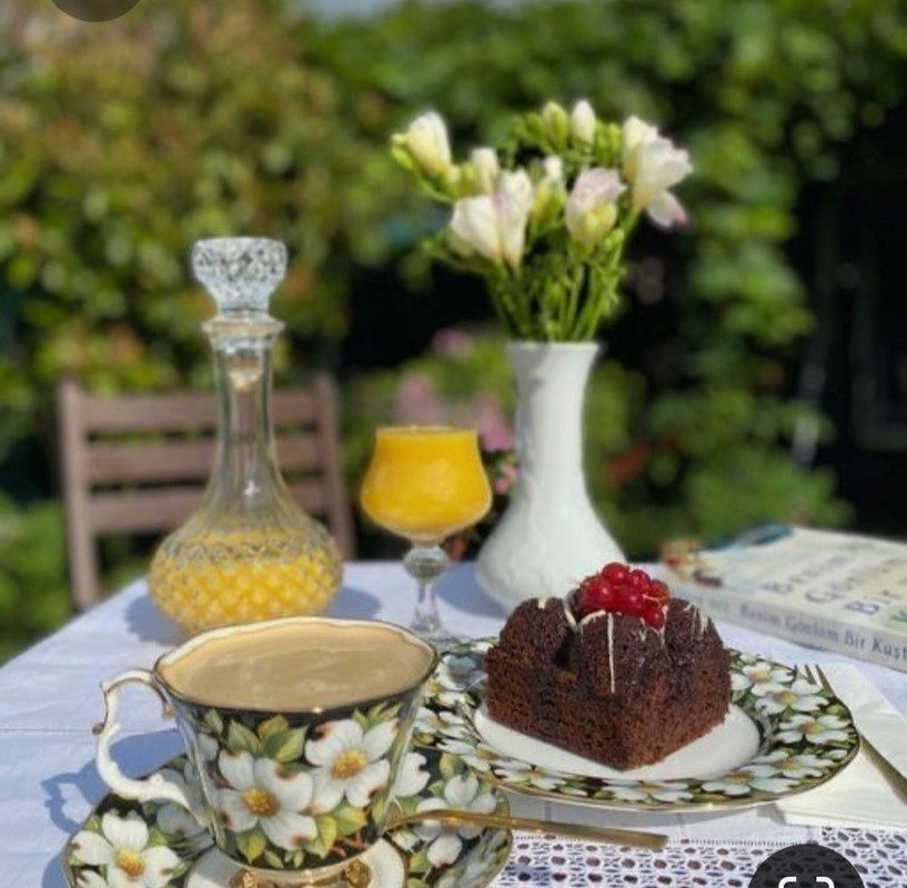 Screenshot_20230710_233026_Pinterest