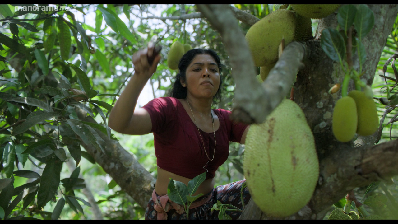 vlcsnap 2026 02 25 12h51m13s684