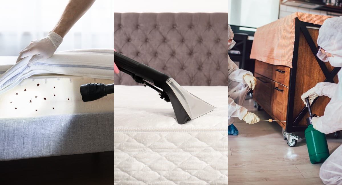 Orlando bed bug treatment