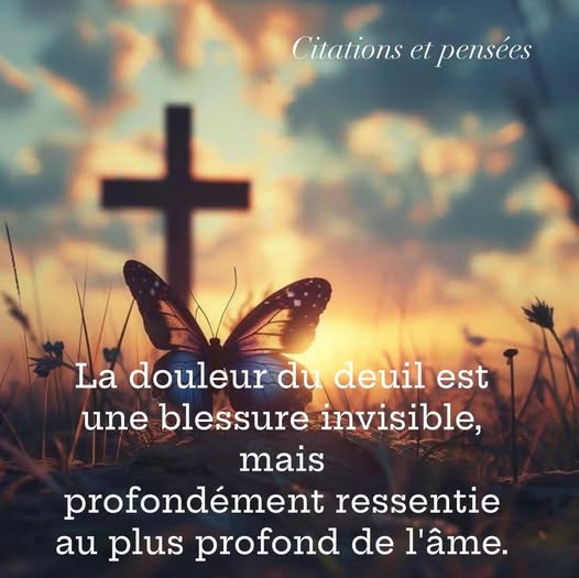 582025193 2287354085080876 1989005720883774551 n