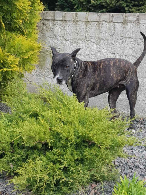 FFD3DFE2-75EF-4354-B975-1003DD3B5862