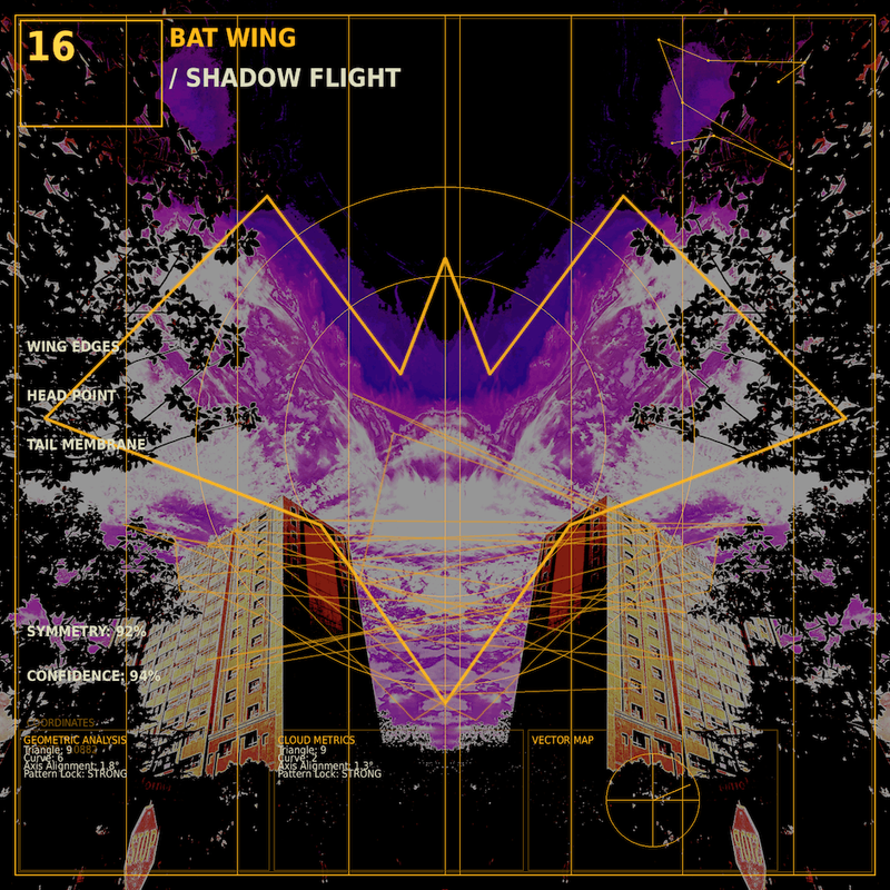 Bat wing