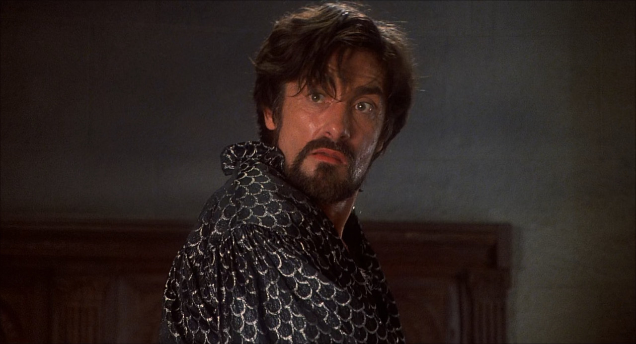 Robin Hood - Men in Tights 1993 (1080p x265 10bi