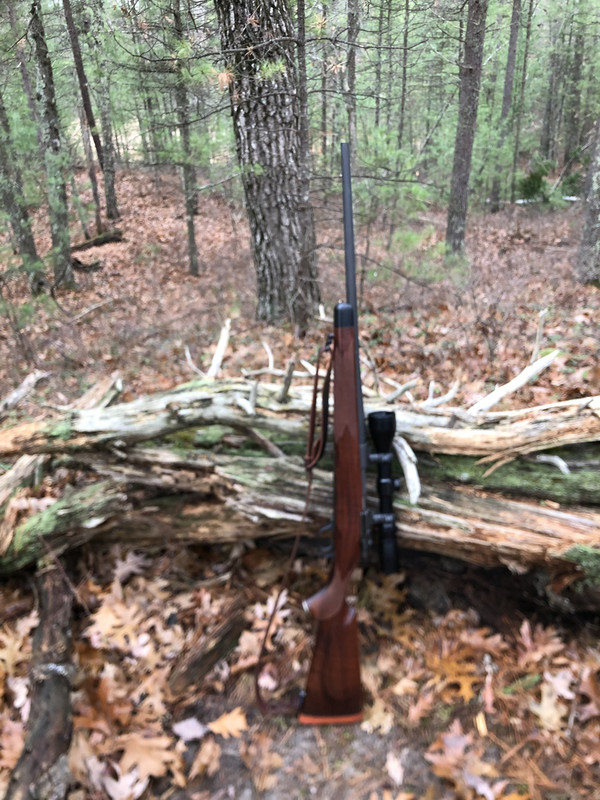 3E6B8DCC-038F-4900-B177-A123279D985A