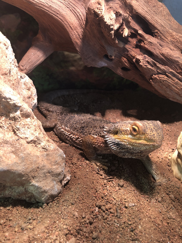 2C38B7C9-29B2-4E8B-A0D6-5E08BCB2D973