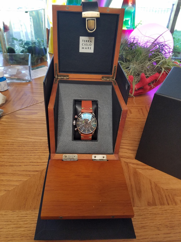 20171006_134126_zpsljdv54n1