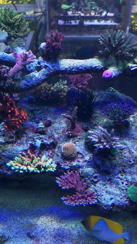 8E99C90B-39B3-435F-AC58-B81C9984D6DC