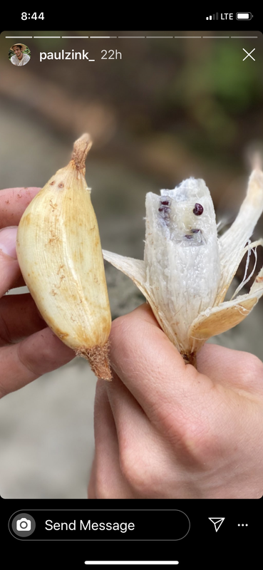 48169C05-0C1C-47F6-A453-9F4077CCC600