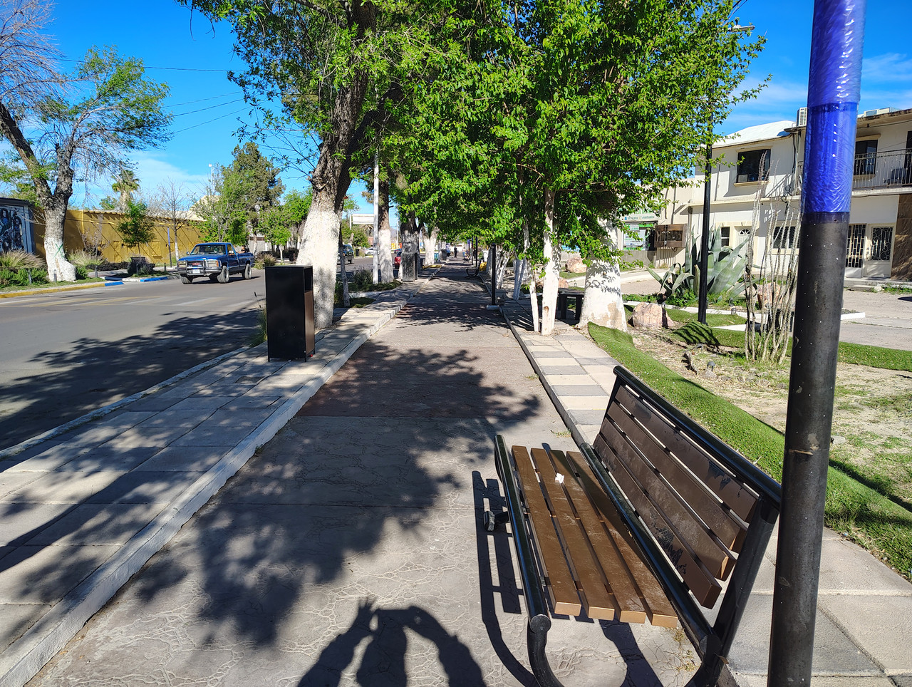 IMG 20260315 163921920 HDR