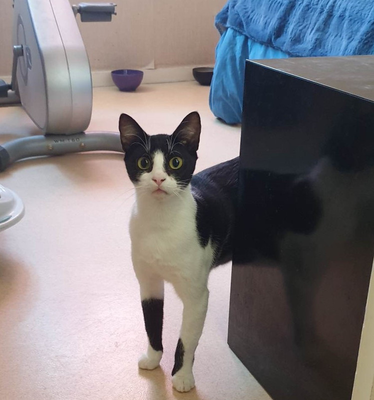 353778070_1093591778266056_4860814619333003537_n (2)