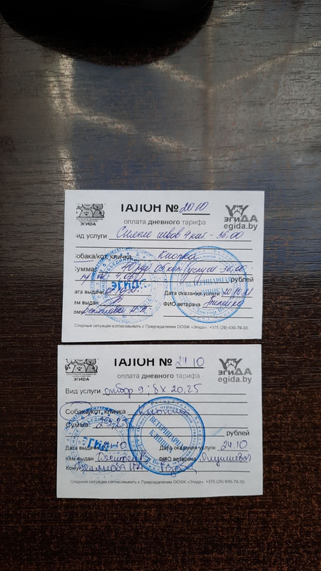 171549D6-4C02-4941-8935-856090948A06