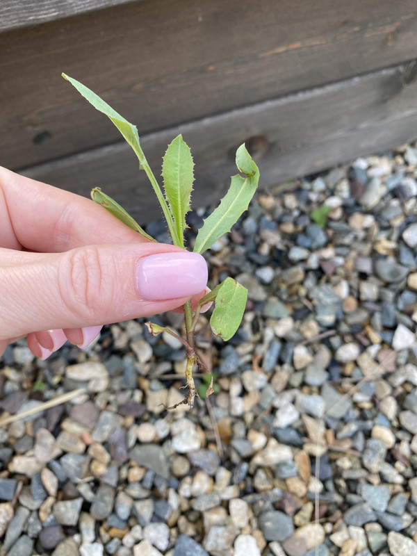 0A8D016D-62C5-4263-ABD0-CD51A351DBC4