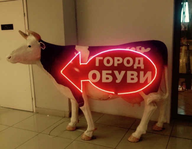 20 маразмов, которыми нас наградил интернет