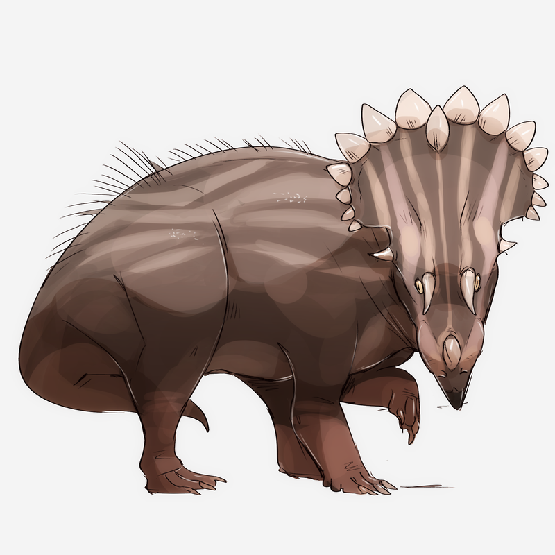 1399411397256db03e5c8ba25502b63e