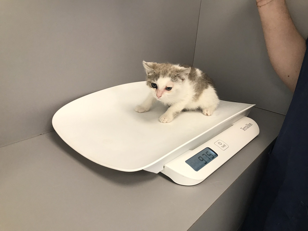 E719A86A-8D6B-4FDC-B6B8-533A0FBD1712