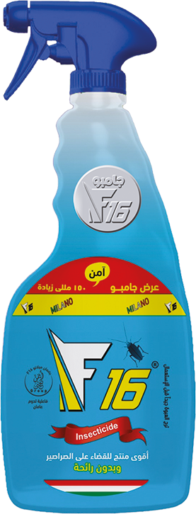 صورة 2