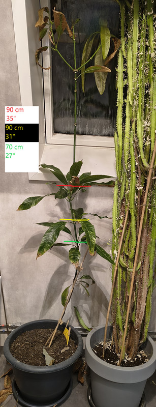 IMG_20251014_005228023_HDR_kopia(2)