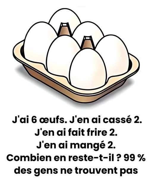 text alternatif