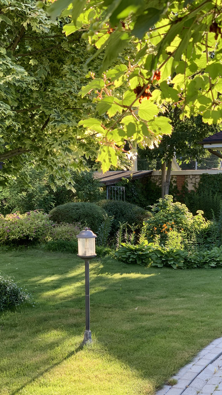 7873BD5F-5C0F-4879-8C3B-4E9193637A88