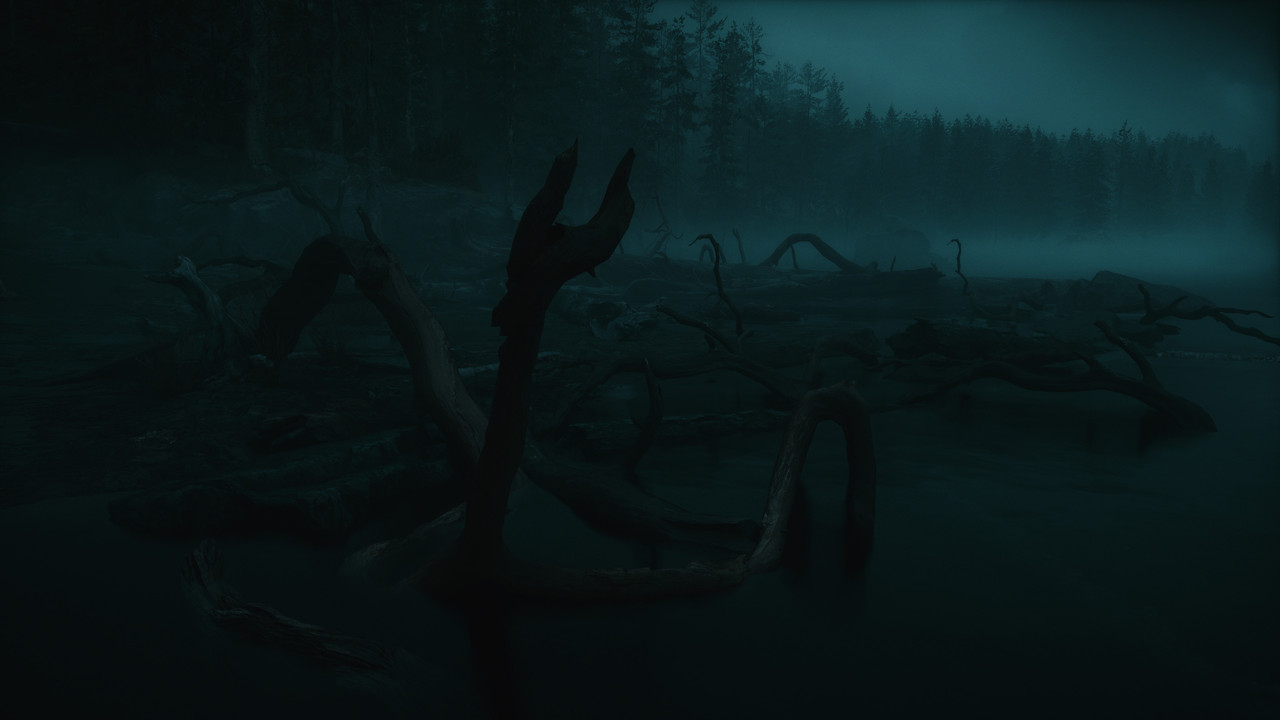 Alan Wake2 2026 06 06 15 23 31 592