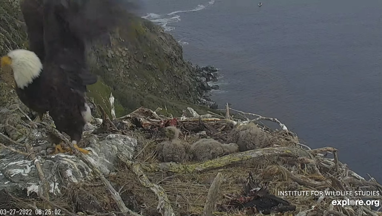 39F83D7F-BC01-4890-B3FD-A785D302280B