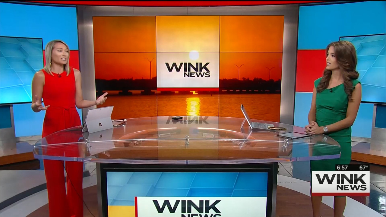 03 May - 11.00.00 - WINK News @ 6 00AM Sunday..ts_snapshot_01.00.32_[2020.05.03_15.58.30]