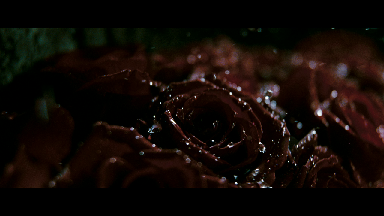 vlcsnap-2023-09-17-15h02m40s776