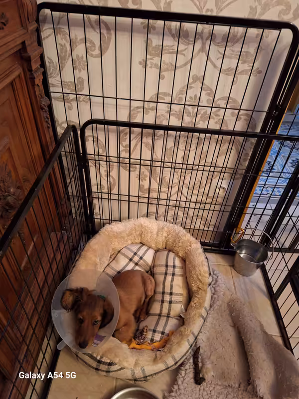 [Image: 20240918-194245.avif]