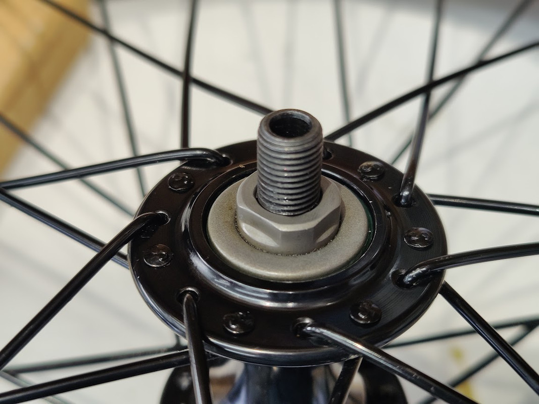 IMG20250805144946 (1)