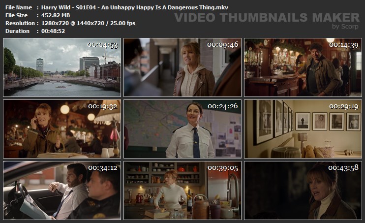 Harry Wild - S01E04 - An Unhappy Happy Is A Dangerous Thing.mkv
