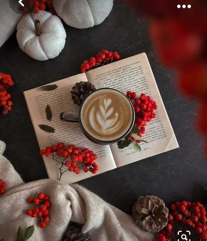 Screenshot_20231008_212842_Pinterest