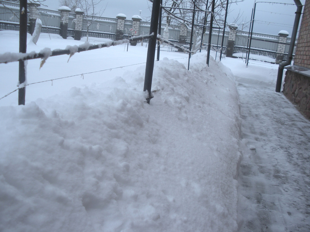 Зимний пейзаж-2, январь 2019