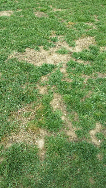 April 10, 2017 at 0307PM (1)